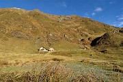 15 Su strada sterrata verso Baita Foppa (1765 m)